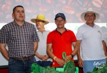 Café de Tolima y de Nariño ganan en el concurso Taza de la Excelencia 2023