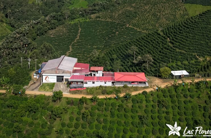 Finca Las Flores, orgullo del Huila y referente del café colombiano a nivel mundial